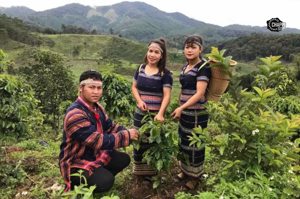Chappi Blend Coffee Beans